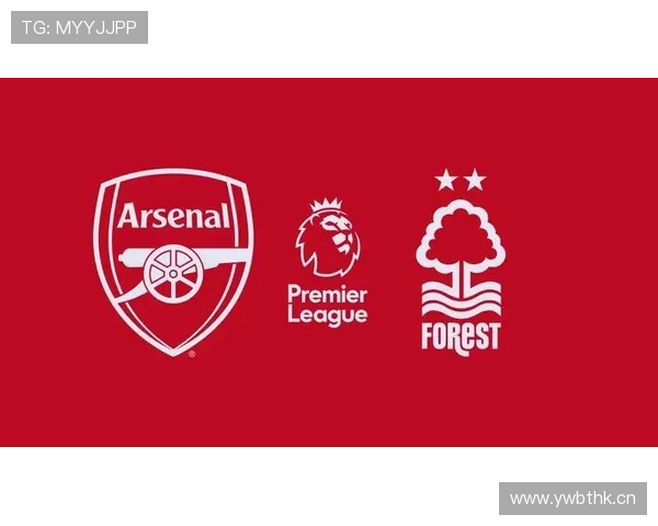 帕利尼亚 vs 赖斯：覆盖能力与全面性对比分析